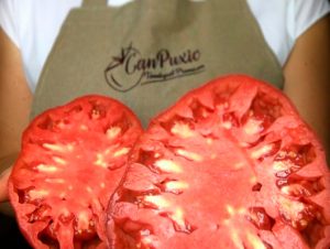 Can Puxic: un tomàquet premium per desafiar la temporada